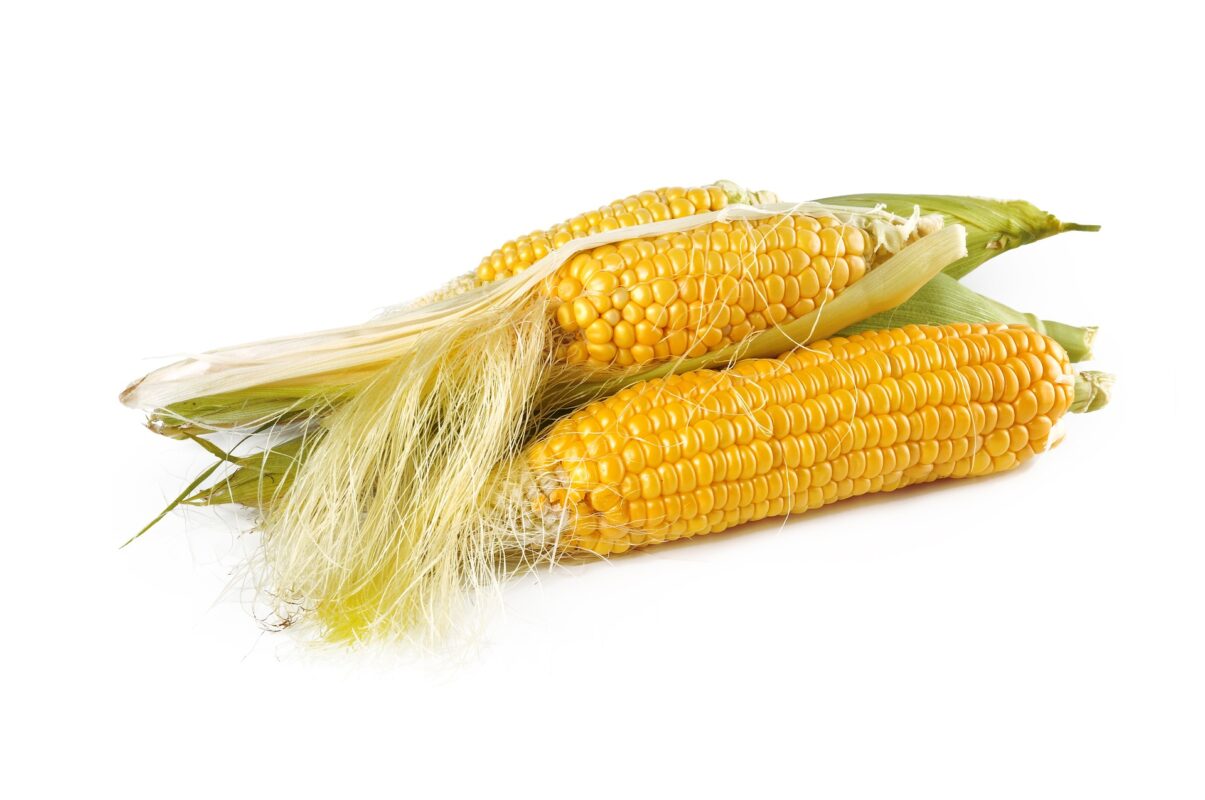 nasiona kukurydzy promocja