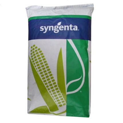 Nasiona kukurydzy SA I650 SY Altess - 50 tys. nasion
